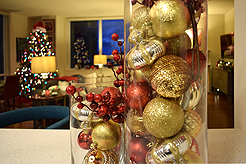 HOLIDAYS IN THE CITY